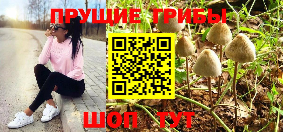 Псилоцибиновые грибы MAGIC MUSHROOMS  Вход с VPN  Коммунар 
